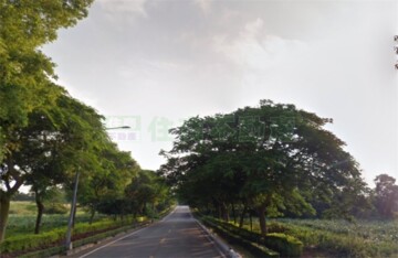 5514-金城方正農業用地 - Image 1