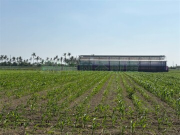 鹽水區待售房屋