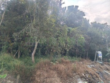 中埔鄉待售房屋