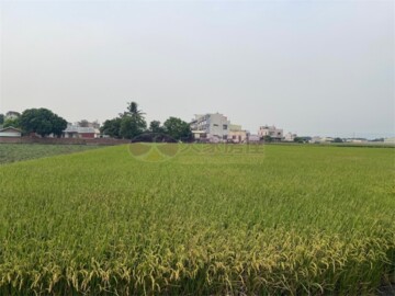 莿桐鄉待售房屋