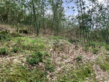 石碇區待租房屋