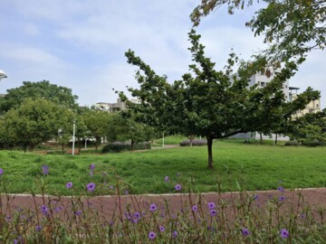 竹南租屋面公園。單層大主臥。全新家具家電別墅 - Image 1