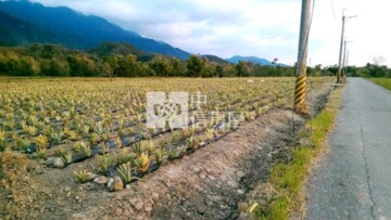 樂屋_成功鎮待售房屋 成功鎮待售房屋