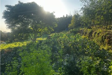 陽明山住宅區土地