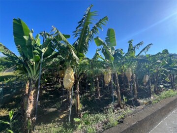 美濃區待售房屋