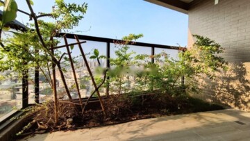 樂屋_英倫亞灣待售房屋 英倫亞灣待售房屋