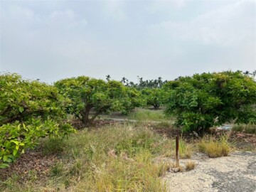 南州交流道10米路都計農地