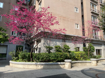 法國賞待售房屋