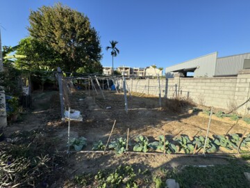 豐原區待租房屋