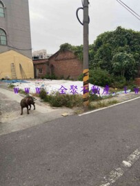 佳里區待售房屋