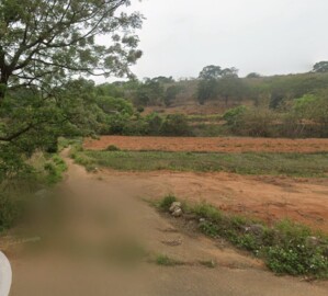 清水區待售房屋