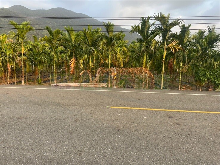 高樹臨維興路休閒農地Ⅰ