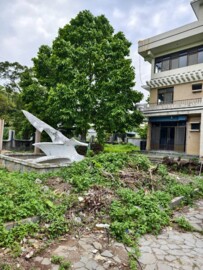 樂屋_林口區待售房屋 林口區待售房屋
