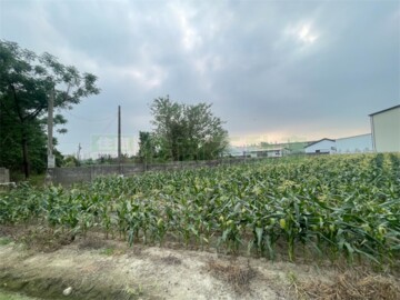 斗南鎮待售房屋