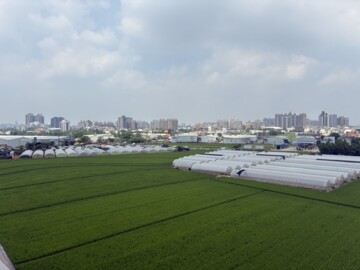 八德區待售房屋