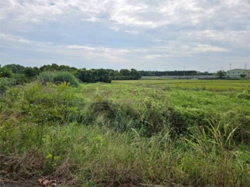田中鎮待售房屋