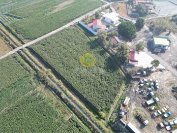 鹽水區待售房屋