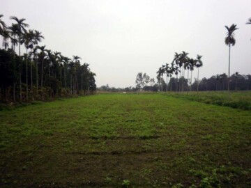 花蓮縣光復鄉建地 工業用地 林地田地 道路用地 法拍土地 農地 農舍 工廠 廠辦 倉庫買賣 樂屋網