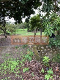 黃厝農地