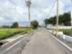 溪湖田中央路旁美田