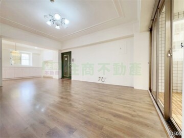 成大新特區B待售房屋