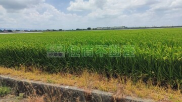 鹽水區待售房屋