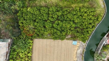 草屯鎮待售房屋