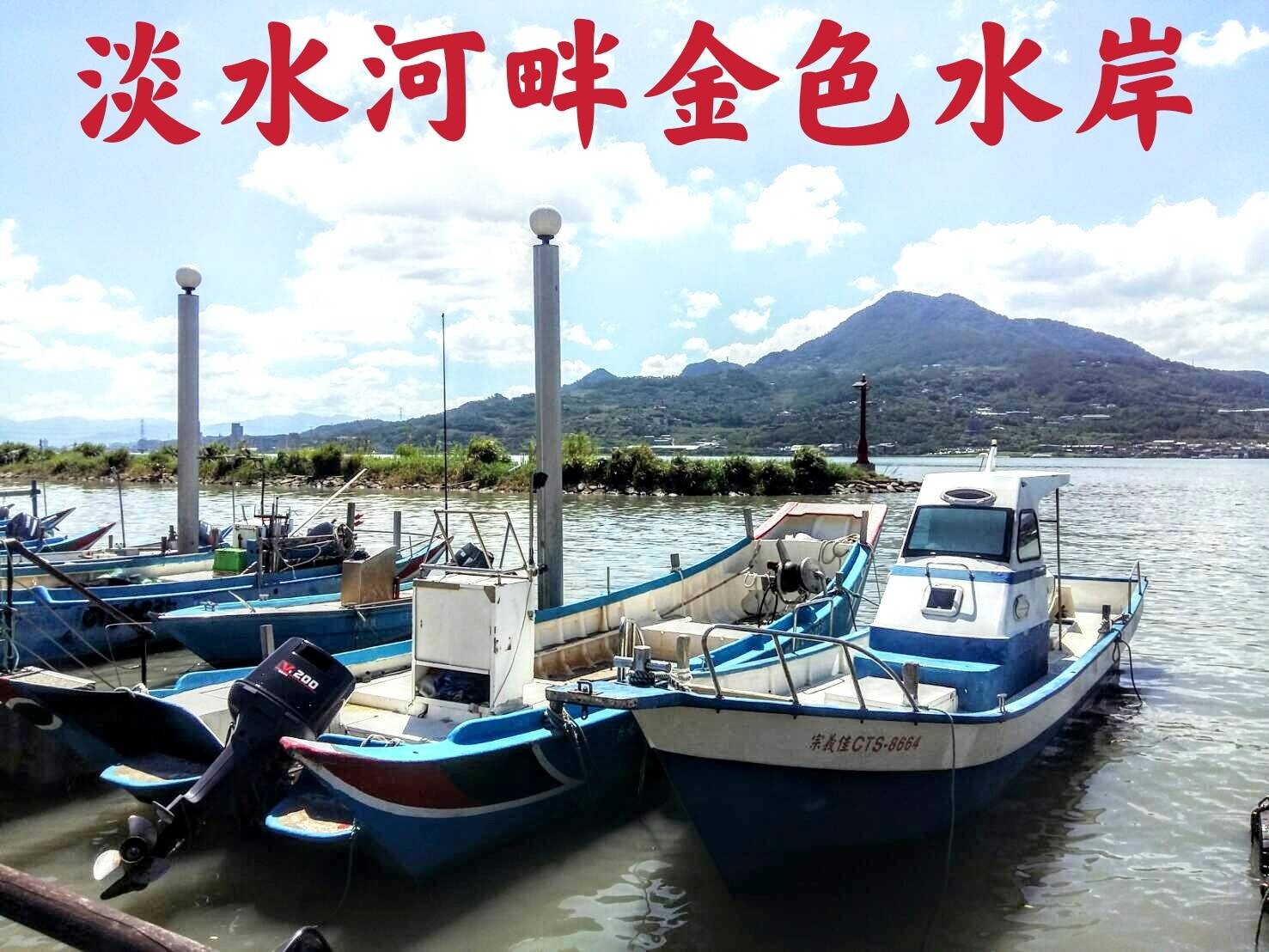 新北市淡水區麗陽花園待售房屋