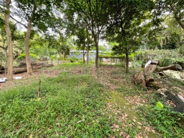 士林區待售房屋