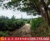 台東卑南文化公園農地1【G7-12】