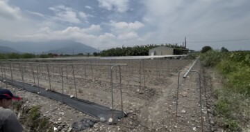 高樹鄉待售房屋