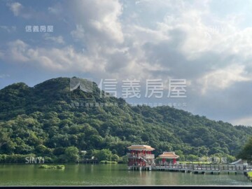 新銳天下(大湖山莊街)待售房屋