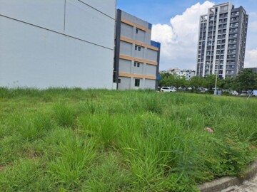新埔鎮待售房屋