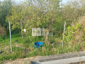 莿桐鄉待售房屋