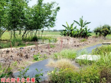 官田區待售房屋