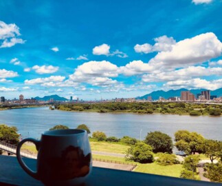 樂屋_遠雄日安/遠雄左岸系列待售房屋 遠雄日安/遠雄左岸系列待售房屋