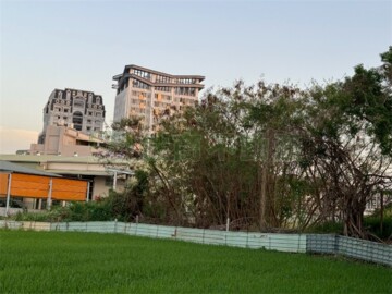 新民路旁都計農地