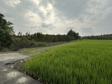 杉林區待售房屋