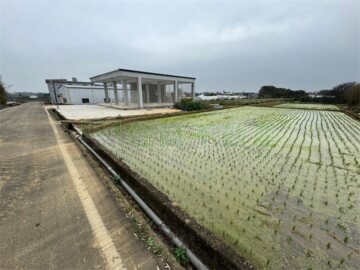新屋後庄合法溫室