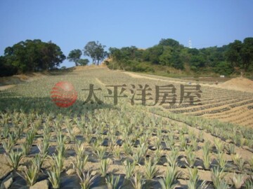 樂屋_大樹區待售房屋 大樹區待售房屋