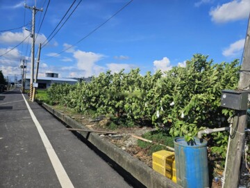 樂屋_岡山區待售房屋 岡山區待售房屋