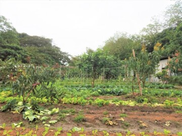 鶯歌區待售房屋