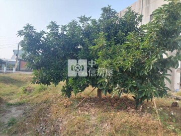 莿桐鄉待售房屋