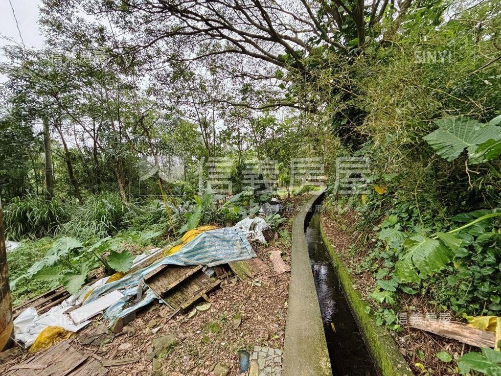 ★下圭柔百坪大土地