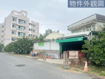 麻豆柚香柚甜大建地含透天
