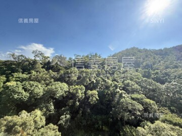 詠大直/大直1號院待售房屋