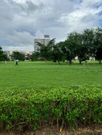 鳳山區待租房屋