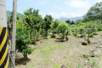 南庄鄉待售房屋