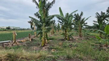 林園區待售房屋