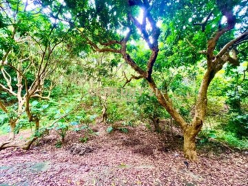 樂屋_芬園鄉待售房屋 芬園鄉待售房屋